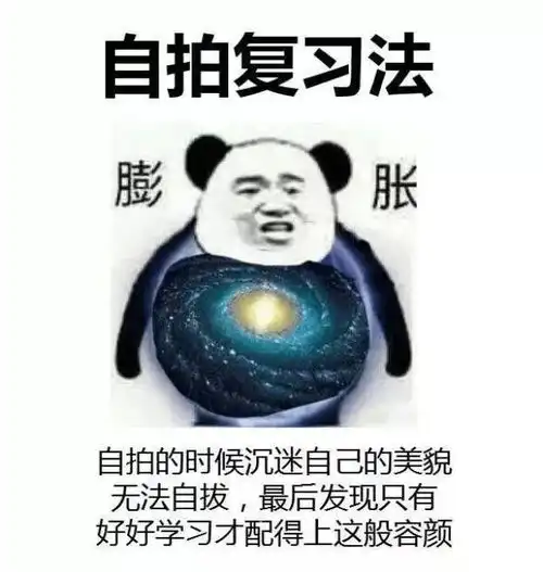 被生活所迫的表情包复习