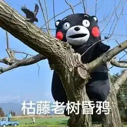 表情包丨我期待的夏天是这样的
