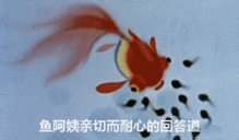 推荐黑猫警长,再无下集