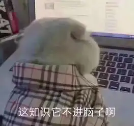 这6道小学入学测试题,让成年的我流下学渣的泪水