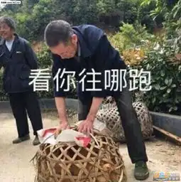野鸡表情包鸡笼表情包图片大全妈妈有鸡表情包小新下载乐游网游戏下载