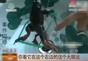 母子俩人公园踏青,捕获六腿异兽,网友好奇心害死猫