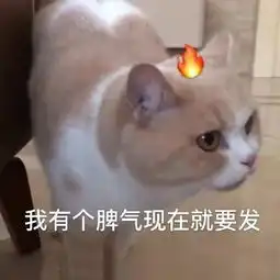 学生时代有哪些刺激的经历哈哈哈真实