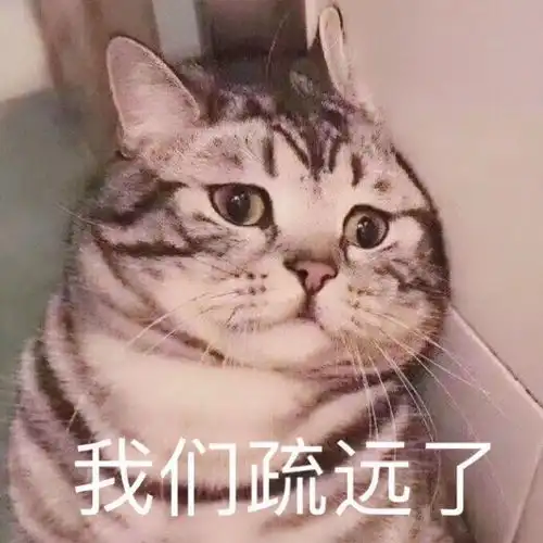 表情包图片大全