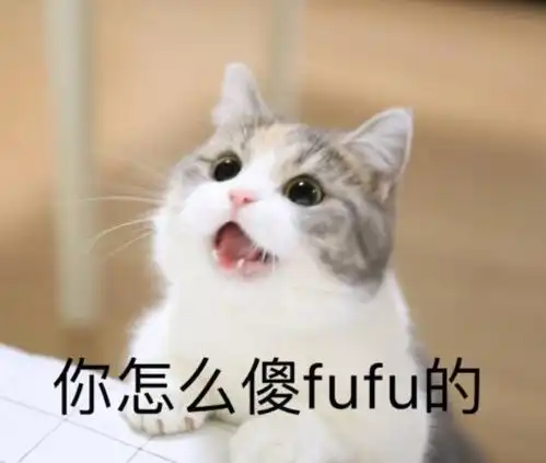 猫猫偷吃被抓住后要怎么办可爱的小表情简直了,哈哈