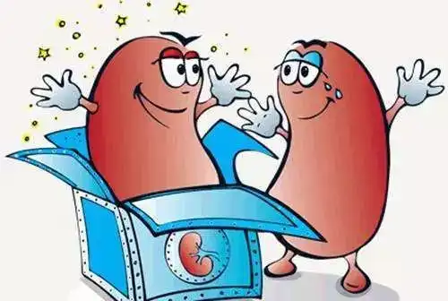 我的肾功能检查都正常啊,为什么中医师老说我肾虚