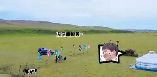 新手驾到草原越野王琳凯直呼不行了周深挤牛奶表情绝了
