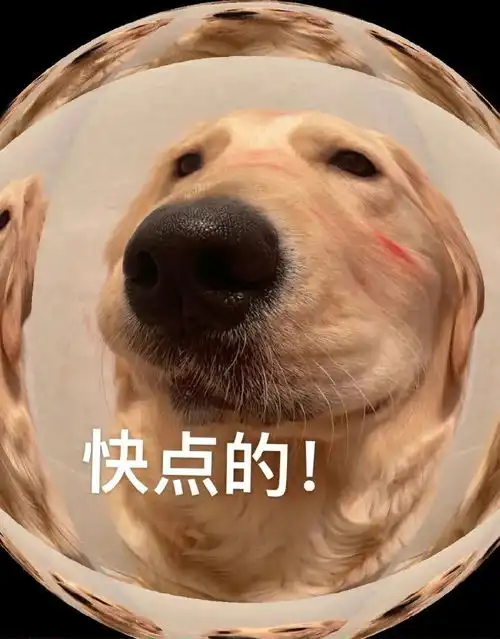 哄对象专用表情包老婆开门呀
