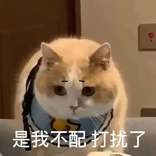 表情包是我不配,打扰了