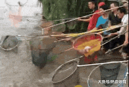 搞笑gif确认过眼神,是个祸害