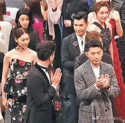 陈展鹏奉子成婚怎么回事单文柔怀孕几个月是男是女