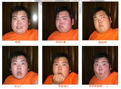表情包胖子图片大全网络