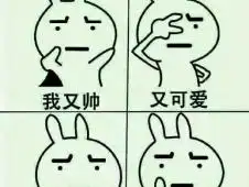 驾考表情包爱自由