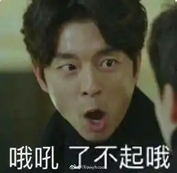 emoji表情又更新了这次加上了中国美食饺子
