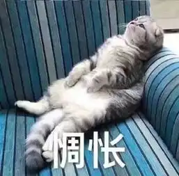 第1212期我能要回彩礼吗