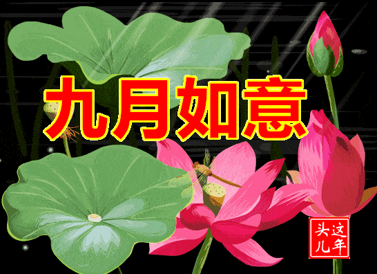 不用打字聊天的早上好动画表情包,最新群发早安问候祝福动态表情图片