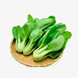 9～12岁男生头像真人水煮