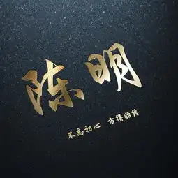 励志姓氏头像适合做头像的高端大气暗黑烫金姓氏壁纸