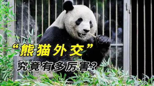为了拥有大熊猫有多卑微失去熊猫落泪痛哭,仍派专机护送回国