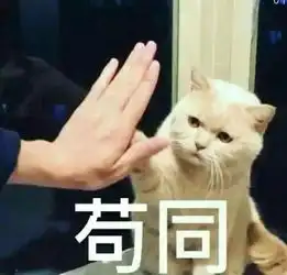 福利玩转盘,抽大奖,iphonex现金红包免单机会等你来抽