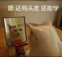 驾考约考难考试自主预约规则请了解