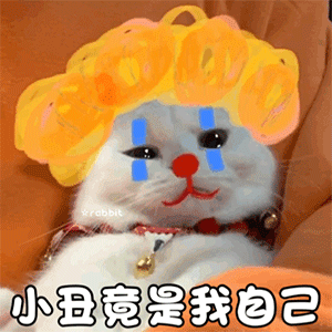 微信沙雕表情包我不想努力了,我真想马上结婚