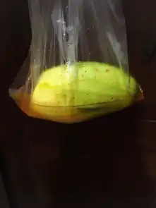 放浪不羁爱自由不舍与夏天说再见三亚两只行走的表情包8日游