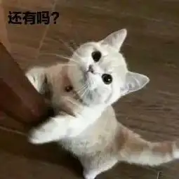 通知焦作人的假期要来了