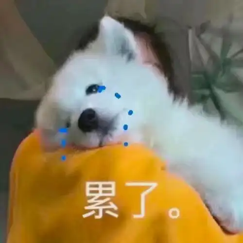 e句话看天下丨福利来啦e姐请幸运鹅看兰心大剧院