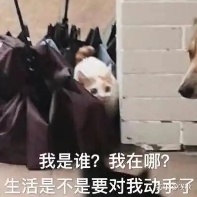 目前只有口红唇釉唇膏素颜霜彩妆蛋等化妆品,学生党能省则省,需要入手什么才能画全妆