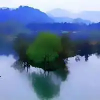 成熟男人用风景头像微信头像图片大全