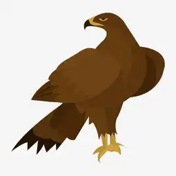 褐色的雄鹰手绘插画图片素材其他格式下载动漫人物大全