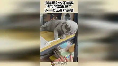 小猫睡觉也不老实,把我的笔弄掉了,还一脸无辜的表情