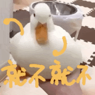 当动物们拥有双手又沙雕又可爱的gif表情包