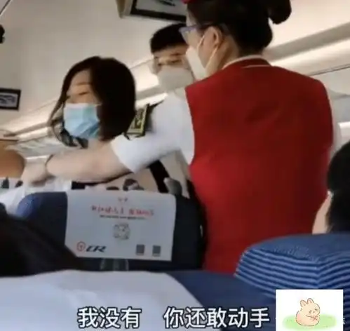 男孩高铁上一路尖叫,女乘客劝阻反遭妈妈扇耳光,有其母必有其子