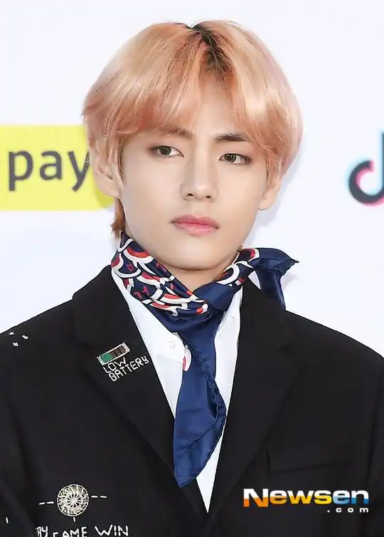 181227防弹少年团v的粉丝,为了迎接v的24岁生日,意义深远的蜂窝煤捐赠