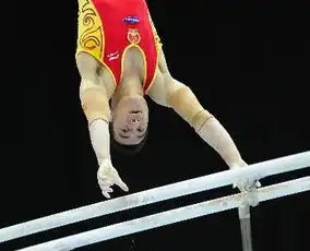 体操世锦赛吕博一人比五项最后大家讨论的仍然是陈一冰滕海滨冯哲这不知道为什么天啊