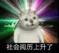 目前b站30个mur猫专栏里面的表情包整合以及其他mur表情