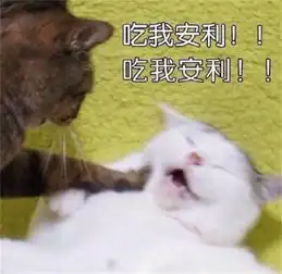 吐血表情包点点