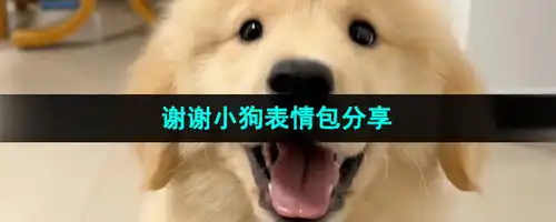 抖音谢谢小狗表情包有哪些谢谢小狗表情包分享咖绿茵手游站