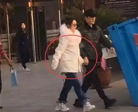 赵丽颖疑似怀孕全过程结婚怀孕一个套路太败好感