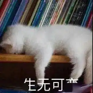 驾考包过你信吗藤县一名男子发布虚假驾考信息诈骗钱财被抓