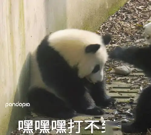 滚滚图享两个问题谁的表情包没有更新以及肉肉最后有没有挨打