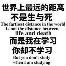 考研人每天心情,你是这样吗表情包福利