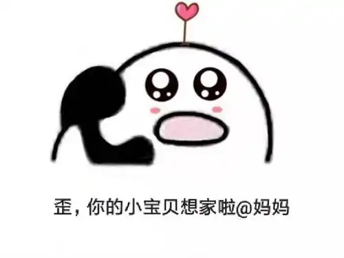 哇哦nice表情包出处包饺