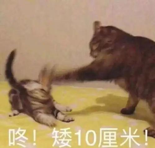 表情包可爱的女孩子蜜糖