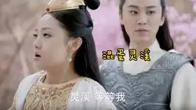 少女大人醉酒的苏瓷有多可爱,满世界都在晃