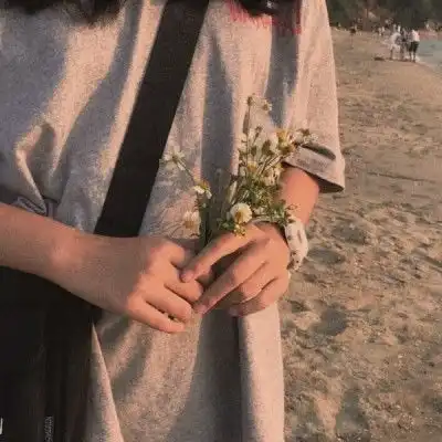 无标题