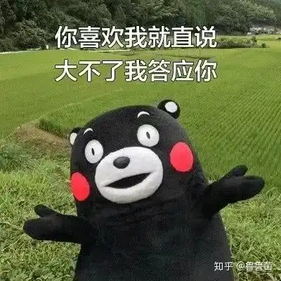俺妹黑猫表情包配色