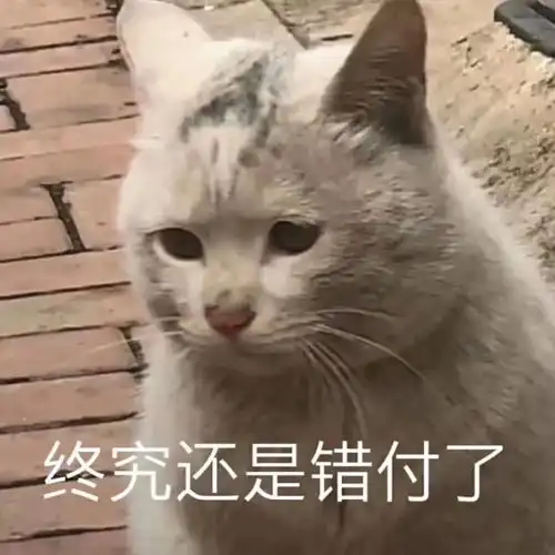 表情包1丨只要我偷偷抹泪就没有人看到我哭